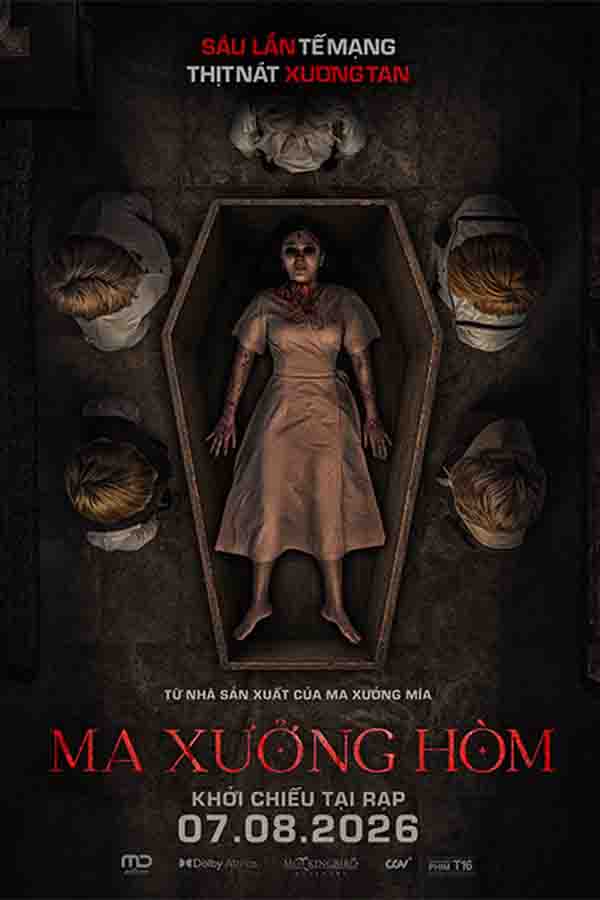 ma-xuong-hom-t16